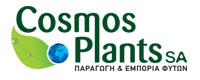 COSMOS PLANTS
